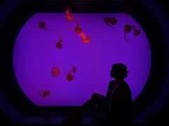 -沈阳海洋探索中心