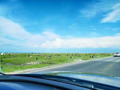 -青海湖国家重点风景名胜区