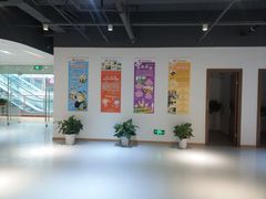 -美育音乐舞蹈国际机构(唯盛校区)
