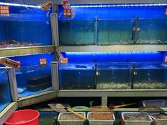 -东江海鲜大排档·潮汕菜·砂锅粥