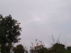 -聚龙山公园