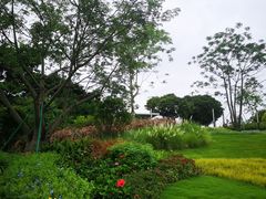 -红花山公园