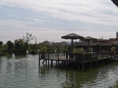 -一煲鸽