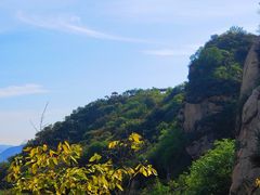 -大岭沟猕猴桃谷风景区