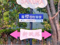 -高东镇樱花园