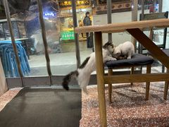 -白翔甜食店