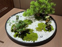 -松鹤楼(狮山永利广场店)