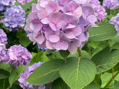 -常州古运河南大街文化旅游区-人民公园