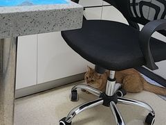 -萌兽医馆·绝育·24小时内科·宠物医院(德胜店)
