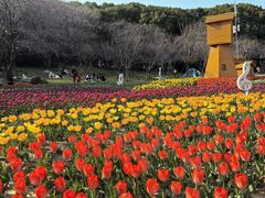 -苏州上方山国家森林公园