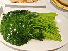 清炒茼蒿-弘雅饭店