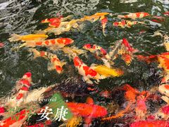 -华凌山庄·隐湖栖