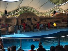 -泉州海丝野生动物世界