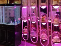 -巴特餐饮6加1音乐餐吧·新疆菜