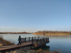 -天津东丽湖风景区
