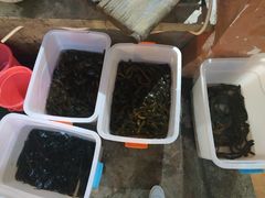 -香叶草中餐厅(川白楼店)