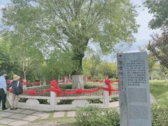 -董永七仙女文化园