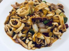 红烧鱿鱼-杨记海鲜楼