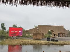 -泗洪洪泽湖湿地景区