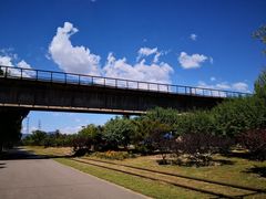 -永定河休闲森林公园