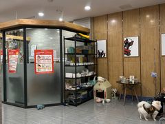-瑞派名望志远动物医院·猫科·內科·异宠专科(直港大道店)