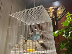 -保纳大酒店(大圩村店)