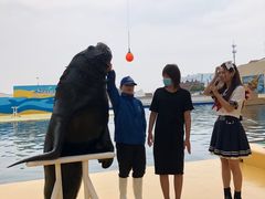 -秦皇岛乐岛海洋王国