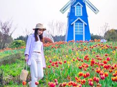 -铁山坪森林公园