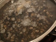 -凯华海鲜火锅·传承三十六年