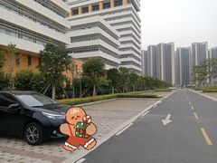-佛山市妇幼保健院(新城院区)