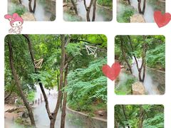 -北京西山国家森林公园