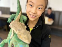 -FAIRYLAND龙族星球主题餐厅(凯丹广场店)