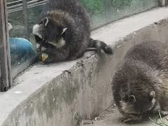 -青藏高原野生动物园