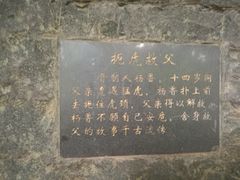 -王顺山国家森林公园