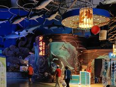 -烟台海昌鲸鲨海洋公园