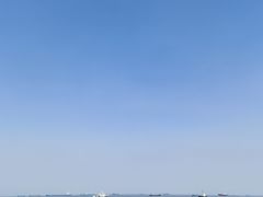 -上海滨江森林公园
