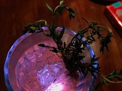 -迦南D BAR