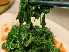 -锦江都城闵行饭店