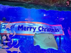 -沈阳海洋探索中心