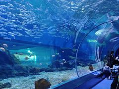 -海合安武汉极地海洋公园