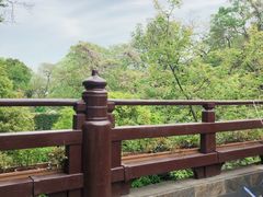 -龙井壹号·茶缘山景宴(龙井村店)