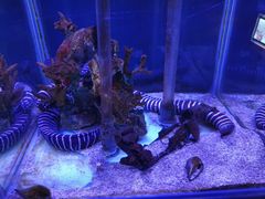 -太平洋海底世界