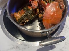 -半岛听涛蒸汽海鲜自助(K11店)