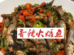 -壹盏灯(惠农店)