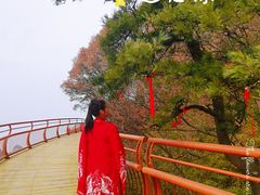 -少华山国家森林公园