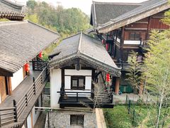-大唐贡茶院