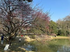 -杭州植物园