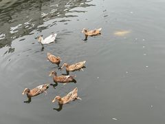 -西安汉城湖景区