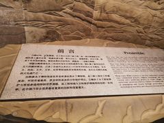 -白鹤梁水下博物馆