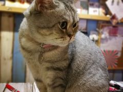 -小时光咖啡馆(开森度假森林店)